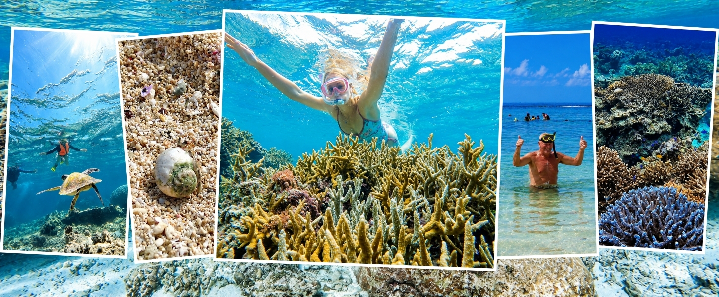 Private beach snorkeling and Kabira Bay half-day tour