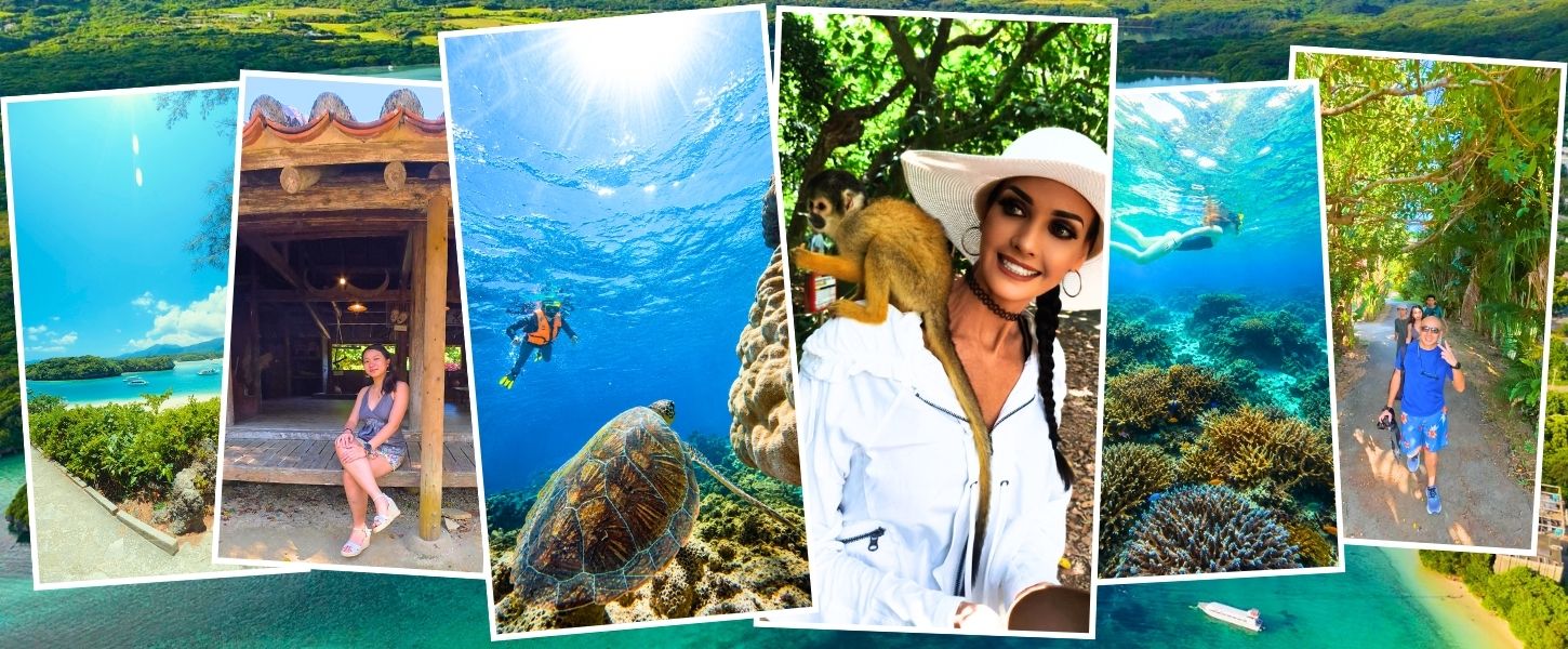 Private beach snorkeling and sightseeing tour in Ishigaki