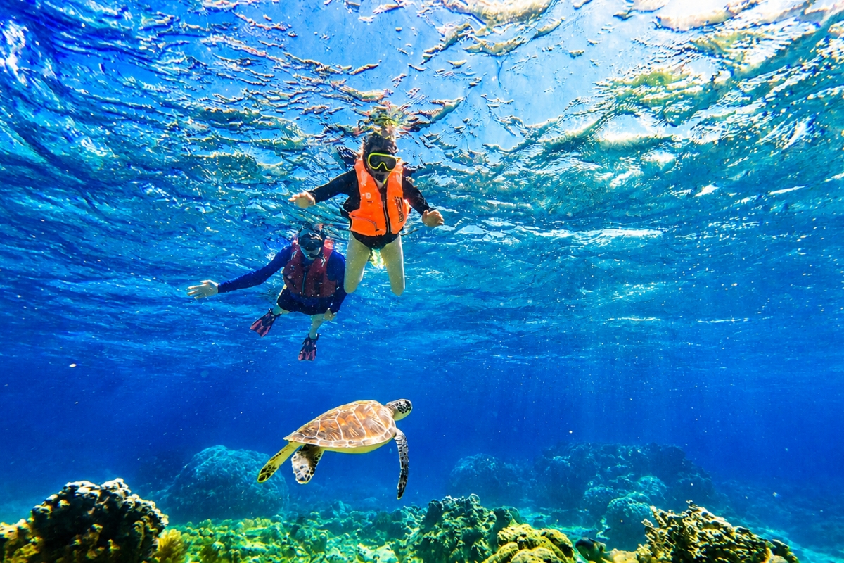 Sea Turtle Snorkeling Ishigaki